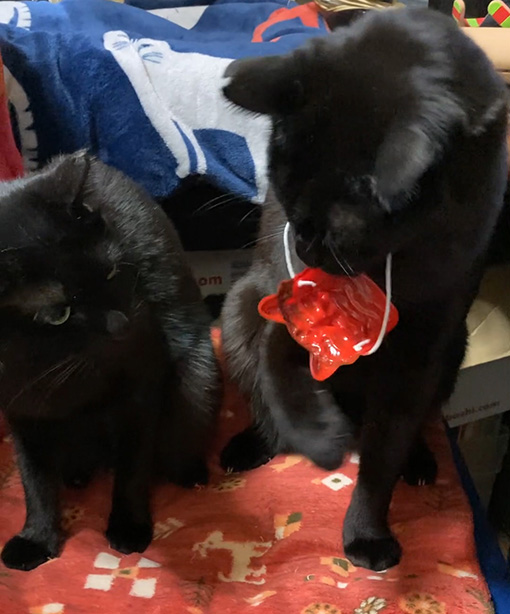 ちまき鬼とあられ福