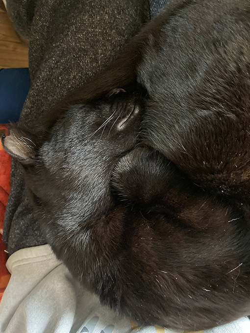 休日のちまきその2